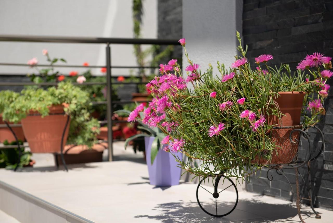 Almare Seaside Studios & Suites - Sarti Sithonia Exterior photo